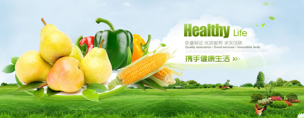 太原市鼎泰华辰科技有限责任公司